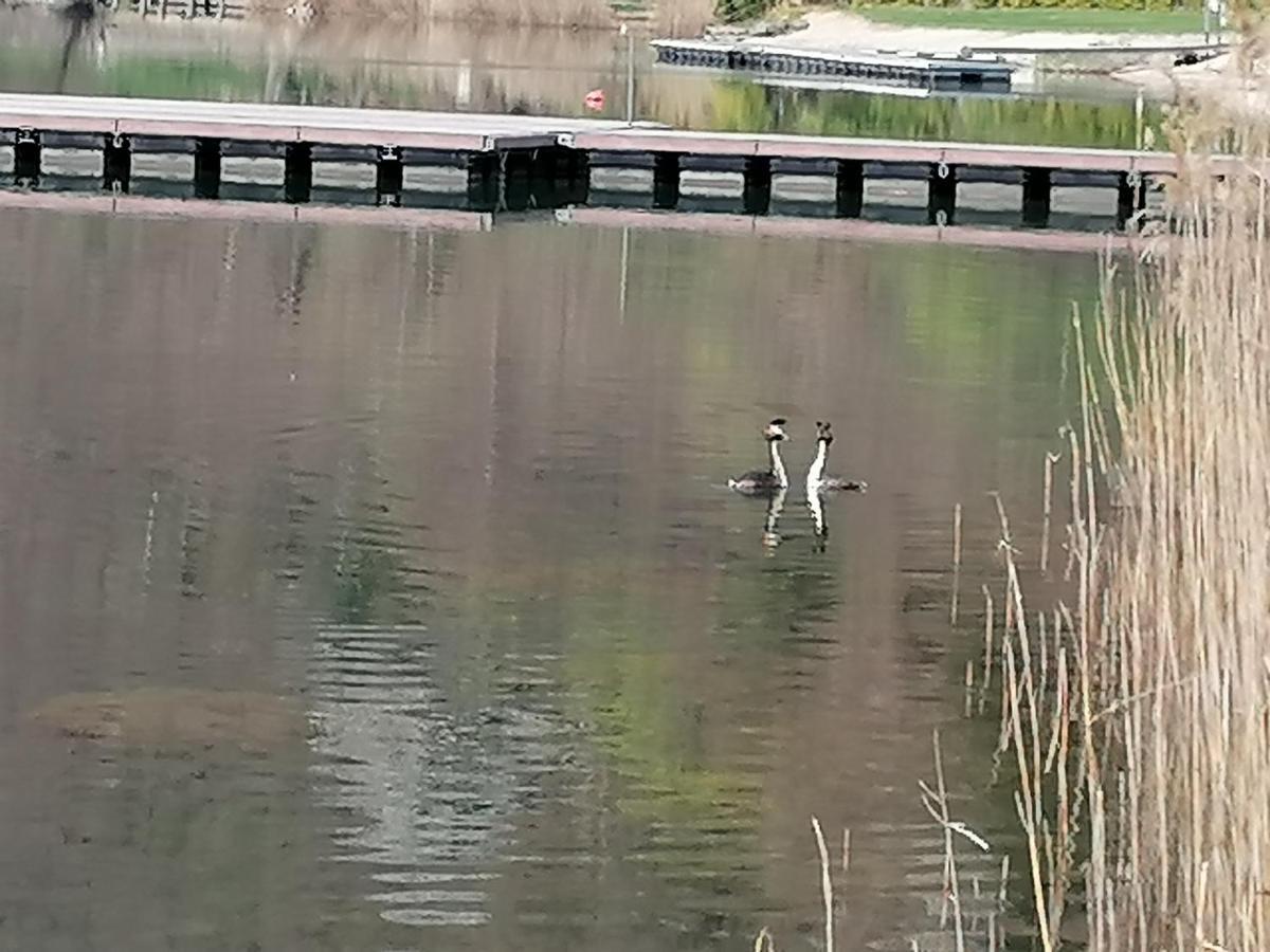Ca' Dei Cigni Διαμέρισμα Calceranica al Lago Εξωτερικό φωτογραφία