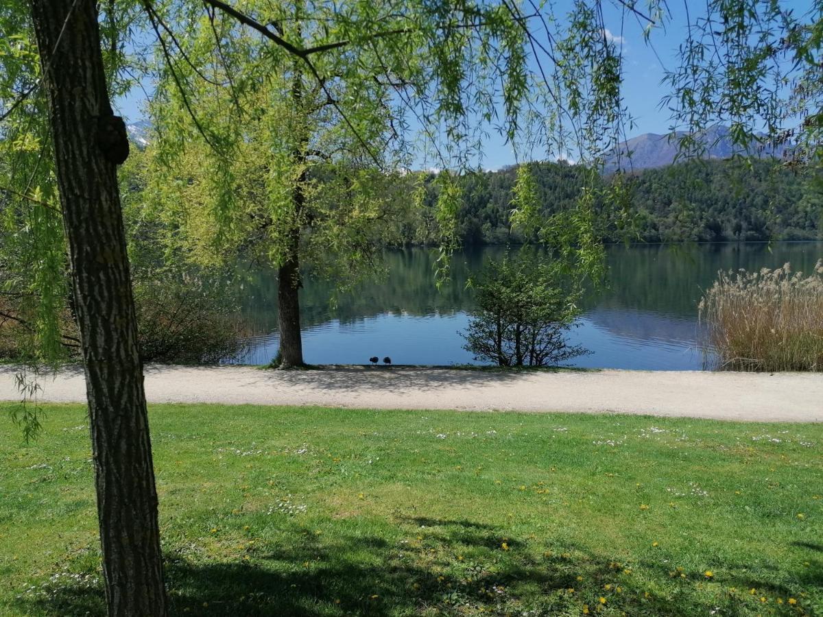 Ca' Dei Cigni Διαμέρισμα Calceranica al Lago Εξωτερικό φωτογραφία