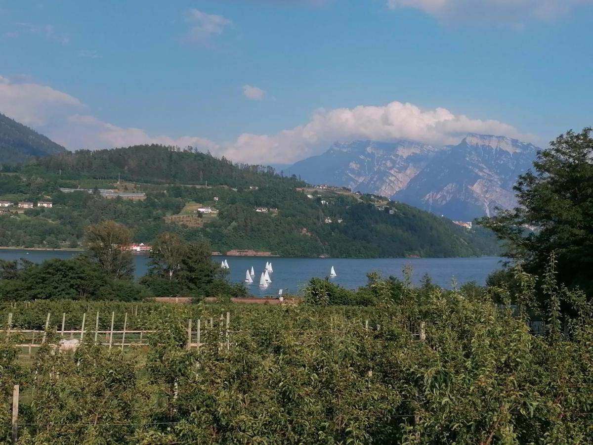 Ca' Dei Cigni Διαμέρισμα Calceranica al Lago Εξωτερικό φωτογραφία