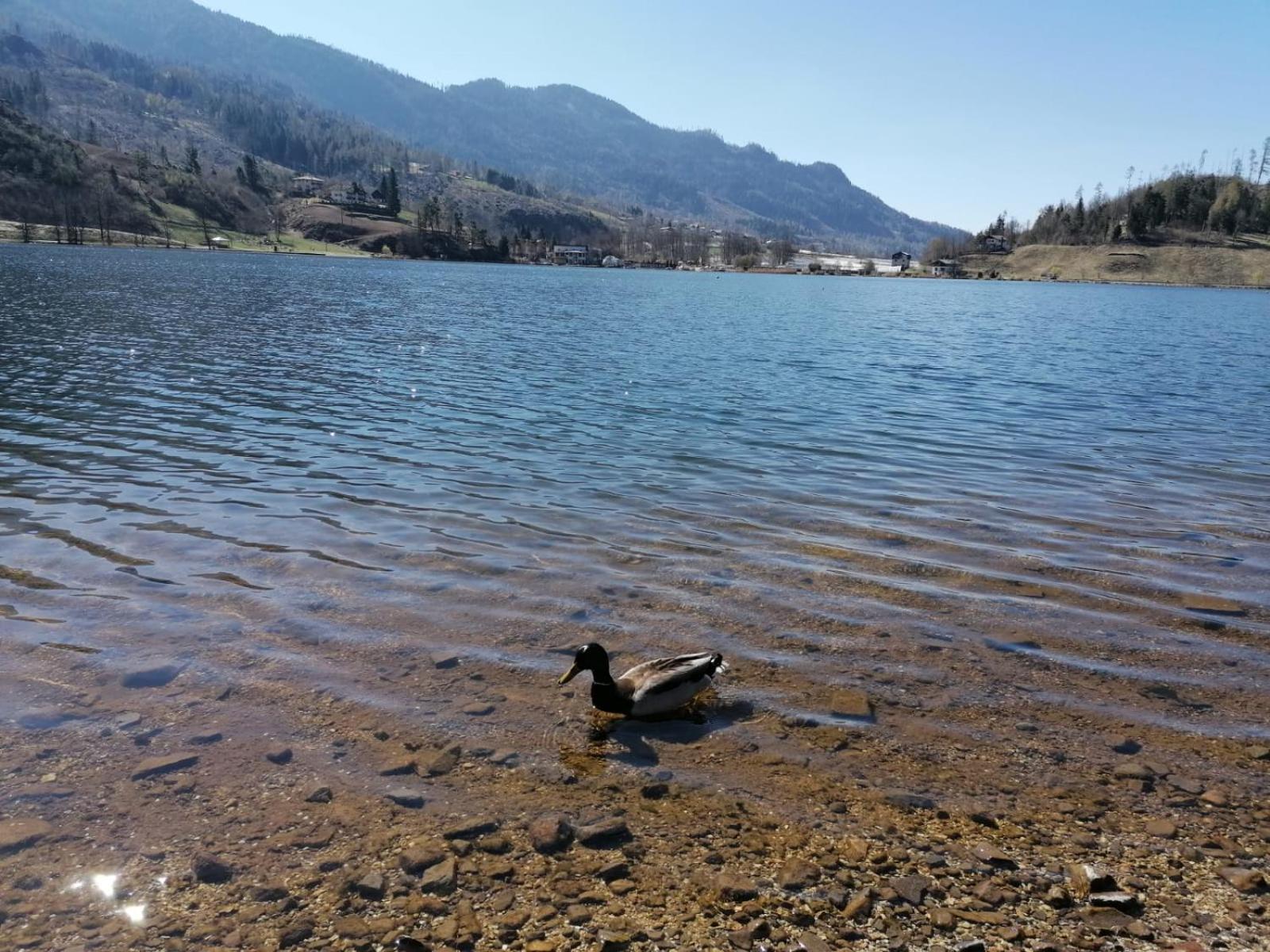 Ca' Dei Cigni Διαμέρισμα Calceranica al Lago Εξωτερικό φωτογραφία